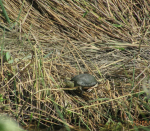 IMG_20240202_155249_007