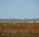 IMG_20240202_155249_278