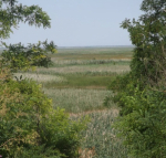 IMG_20240202_155249_290