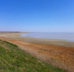 IMG_20240202_155249_543