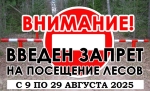 zapret-na-poseschenie-lesov
