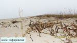 коса Глафировская_1781+