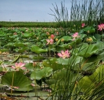 photo_5231067418758082120_y