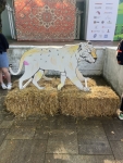 image-16-07-26-07-46-20
